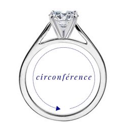 circonference